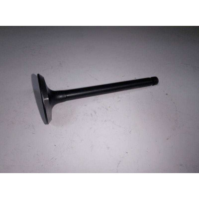 Клапан ГБЦ впускной 7031256