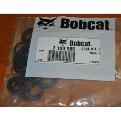 Ремкомплект гидравлического распределителя 7123965 Bobcat