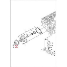 6674169 Шкив водяного насоса Bobcat